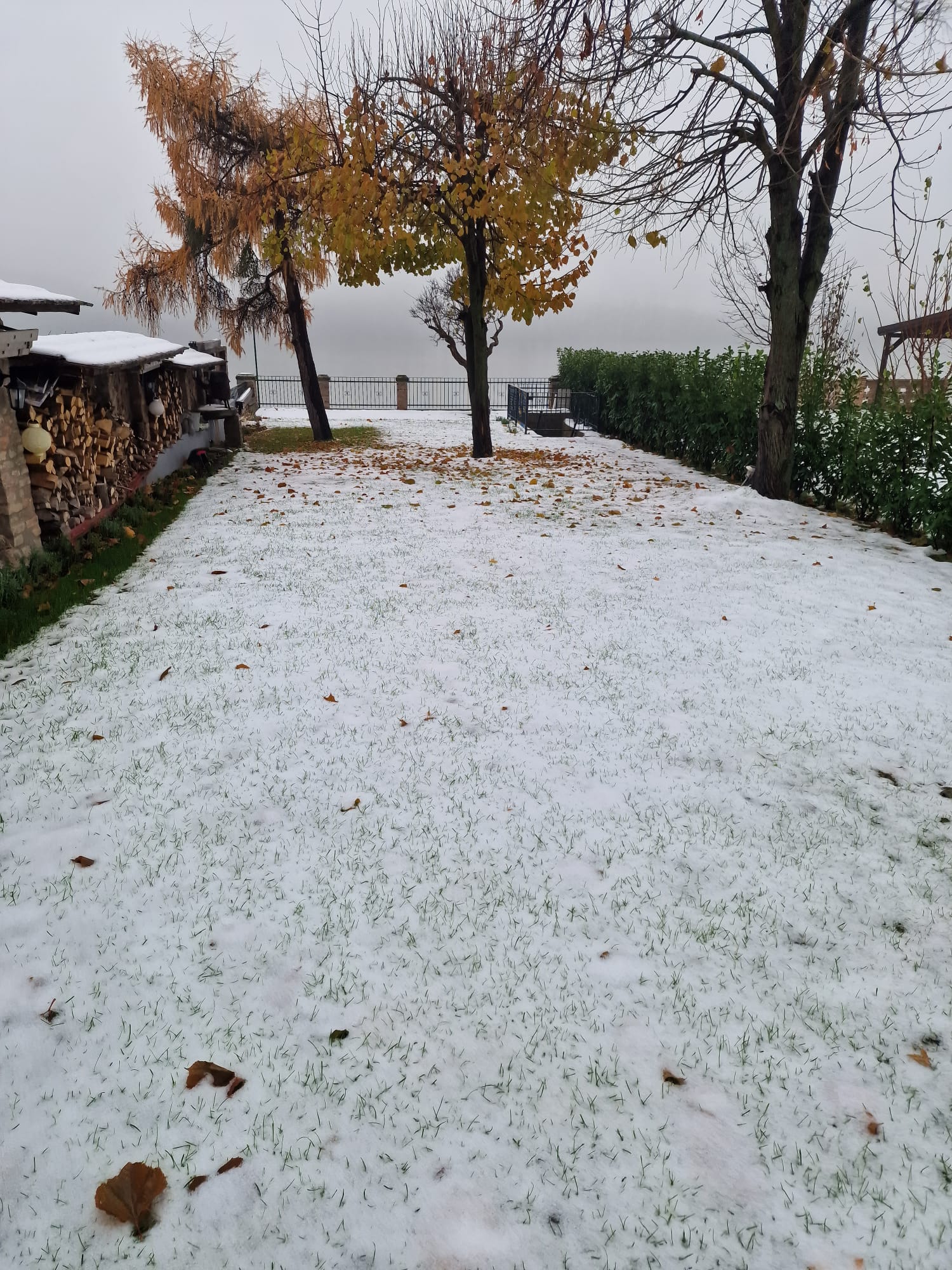Télen
